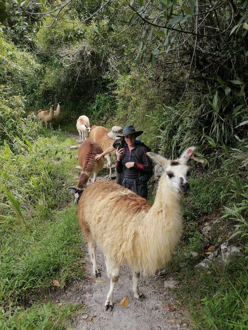 SHORT INCA TRAIL 2D/1N
