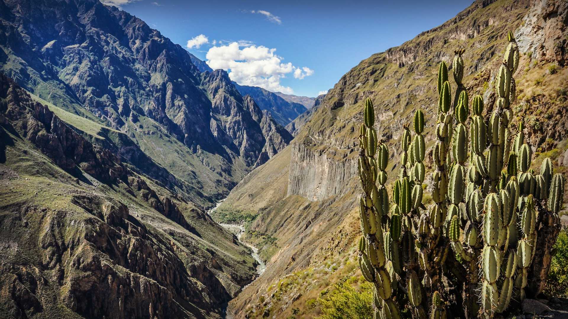 From Cusco: Arequipa & Colca Canyon Trek 3D/4N