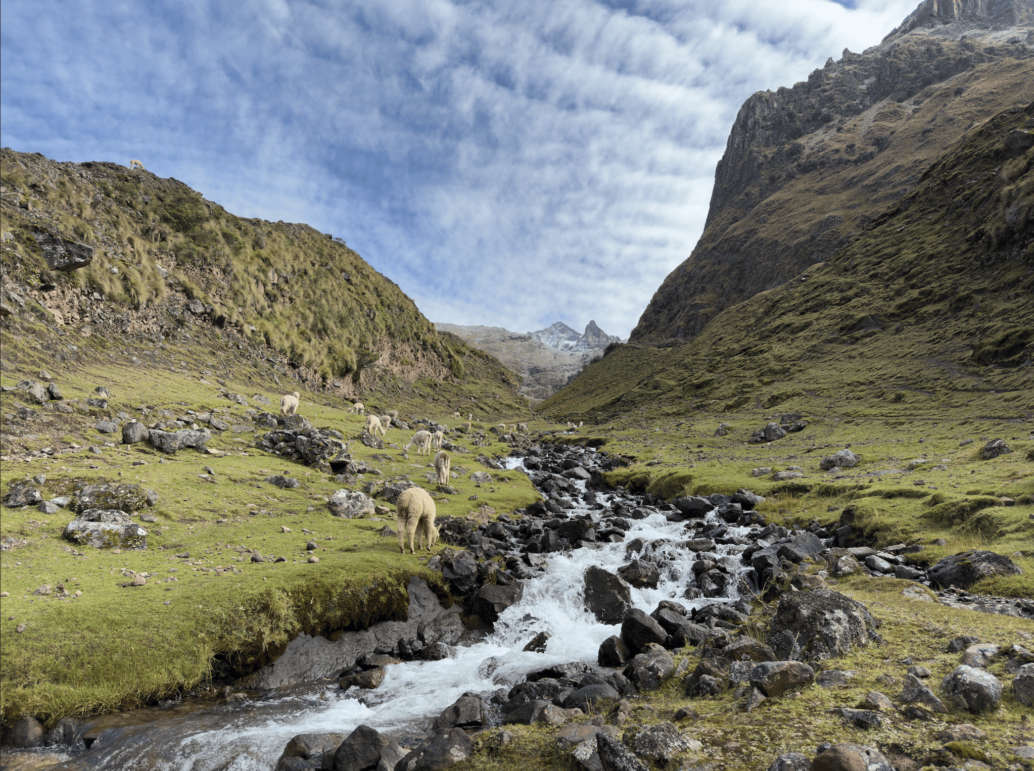 Lares Trek to Machu Picchu 4D/3N
