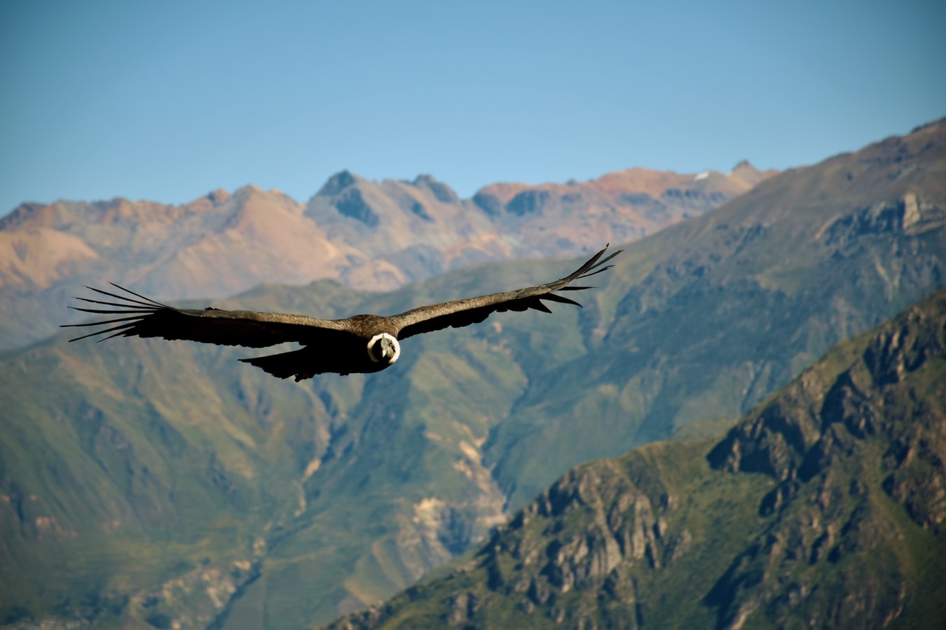 FROM CUSCO: AREQUIPA & COLCA CANYON BUS TOUR 2D/3N